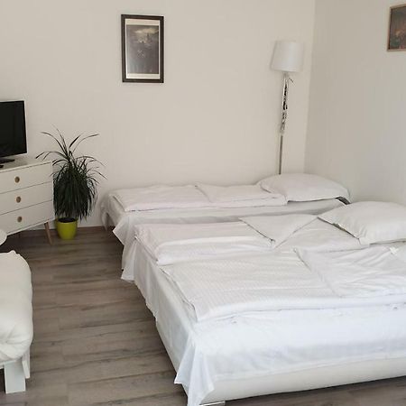 Apartament Schiller 58 Braşov Extérieur photo
